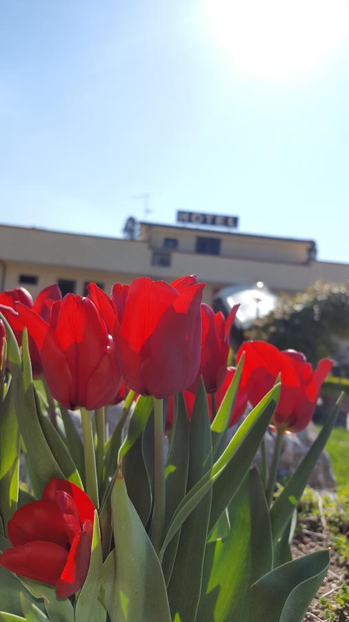 Hotel Vittoria เบเนเวนโต ภายนอก รูปภาพ